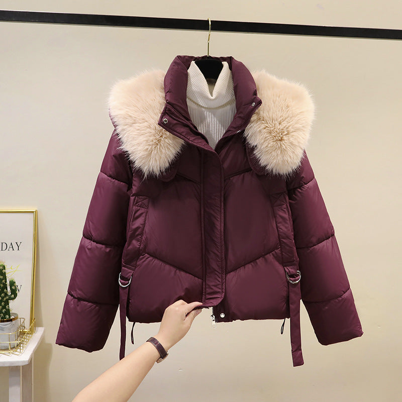 Women's Short Cotton-padded Jacket, Versatile And Fashionable, Stand-up Collar, Thick And Warm Loose Style